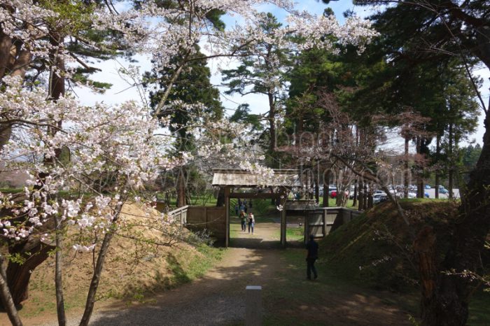 松前藩戸切地陣屋跡 桜トンネル